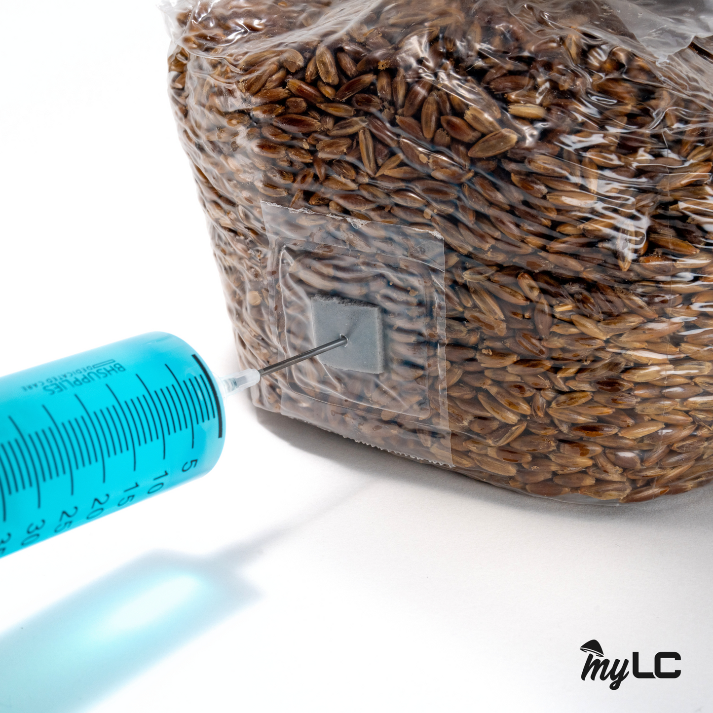 Antler Reishi Liquid Culture IV Bag