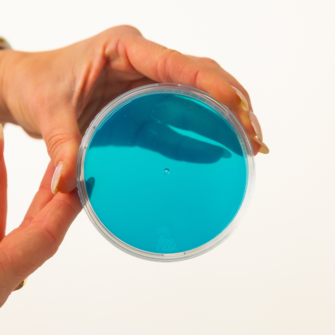 Pre-Poured Malt Extract Agar Plates | Sterile - 10 Count | Available in 100mm Dishes