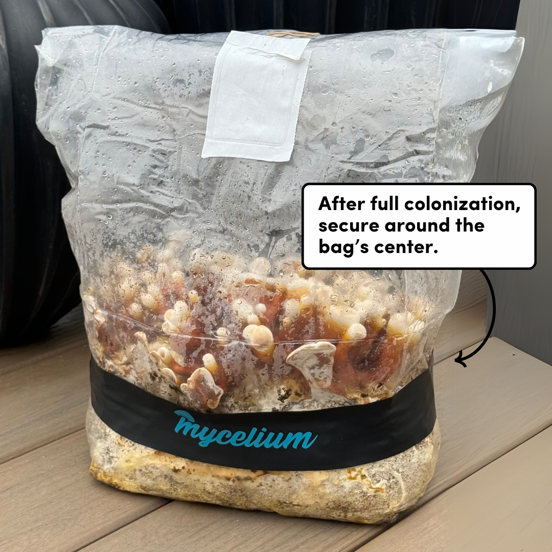 Myco Anti-Side Pinning Bands