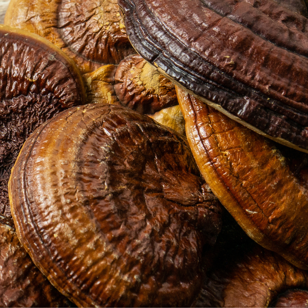 Reishi Varieties
