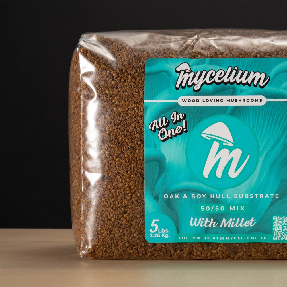 All-In-One Bags – Mycelium Life