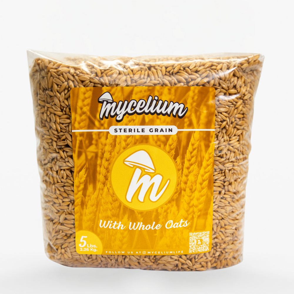 Sterile Grains