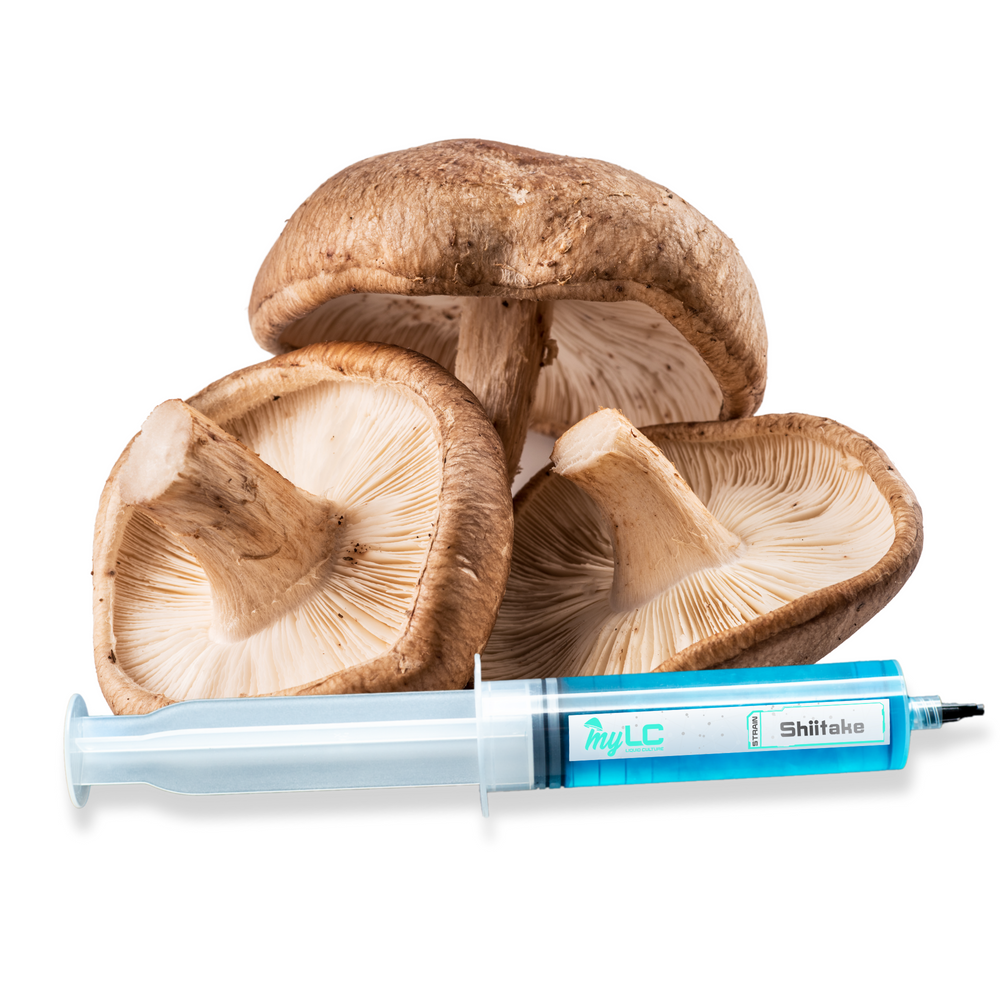 
                      
                        Organic Shiitake Mushroom Liquid Culture
                      
                    