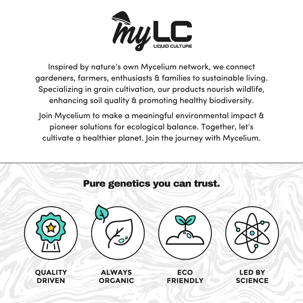 
                      
                        Organic Pink Oyster 90mm Culture Plate
                      
                    