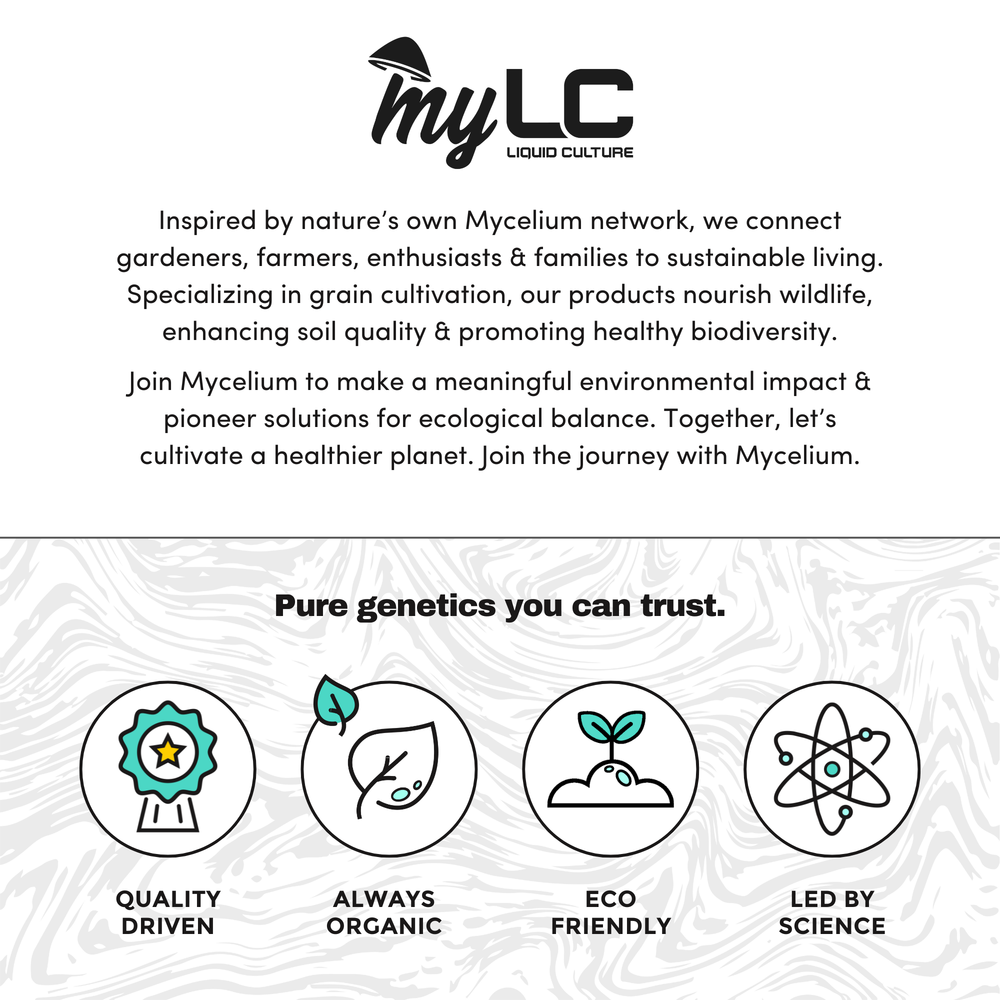 
                      
                        Organic Gold Oyster 90mm Culture Plate
                      
                    