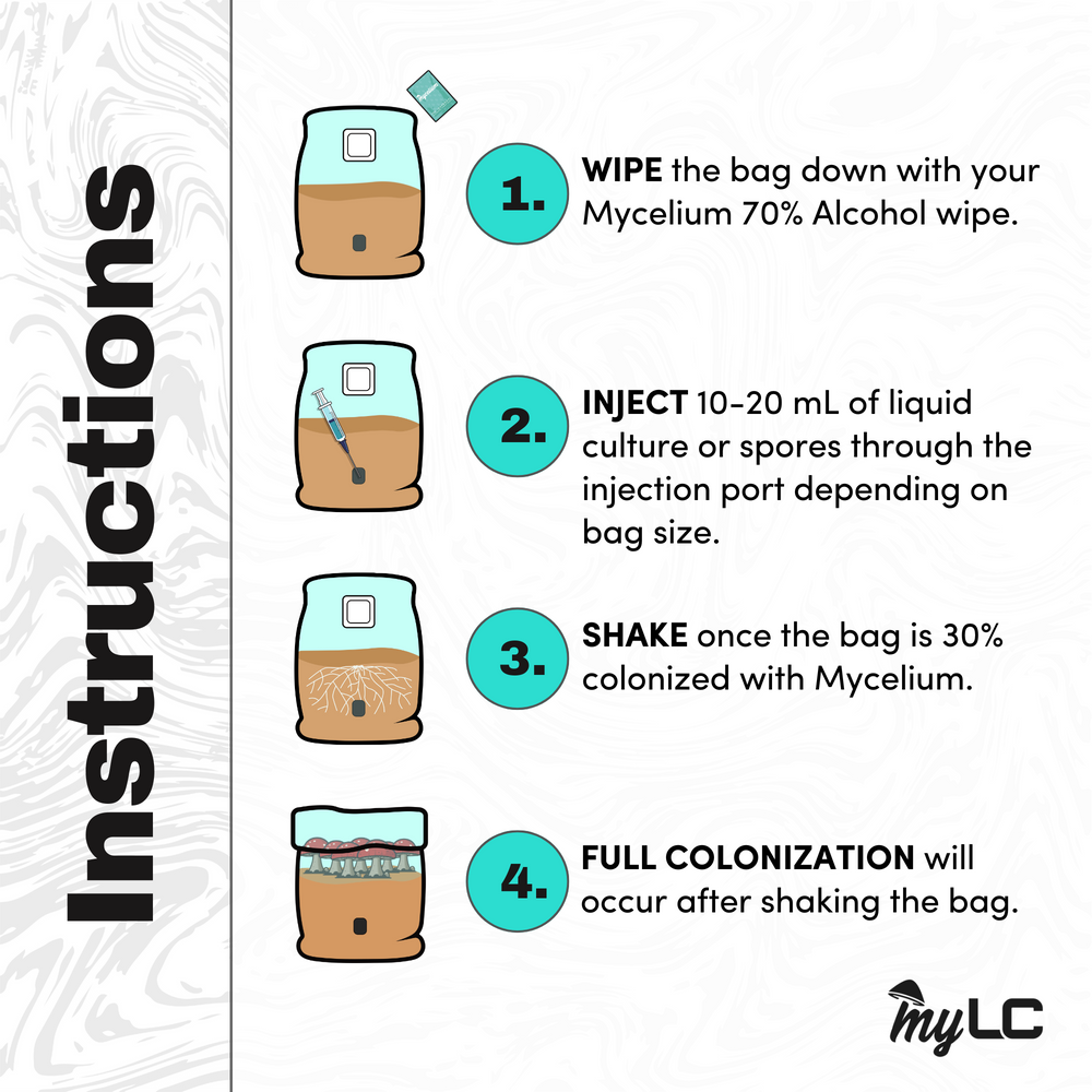 
                      
                        Lion's Mane Liquid Culture IV Bag
                      
                    