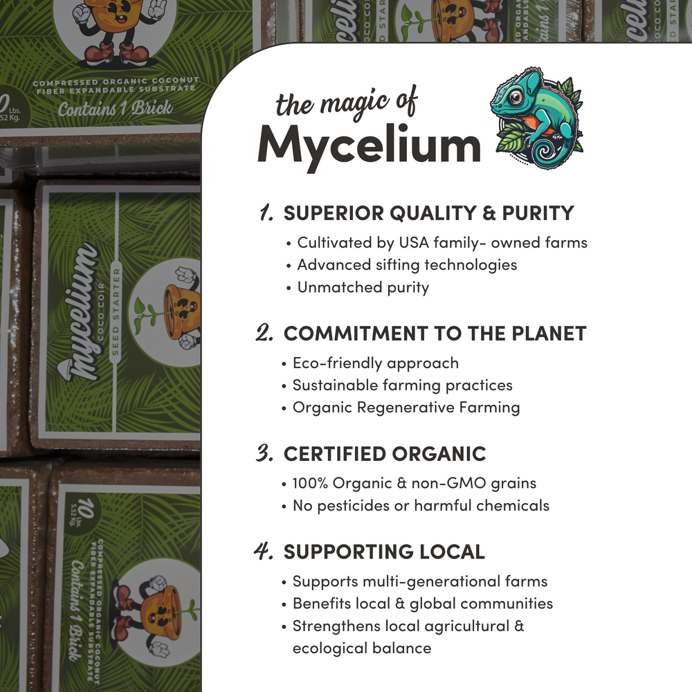 
                      
                        Mycelium 100% Organic Reptile Coco Coir - Eco-Friendly Bedding, Ideal for Reptiles, Amphibians, 10 LB
                      
                    