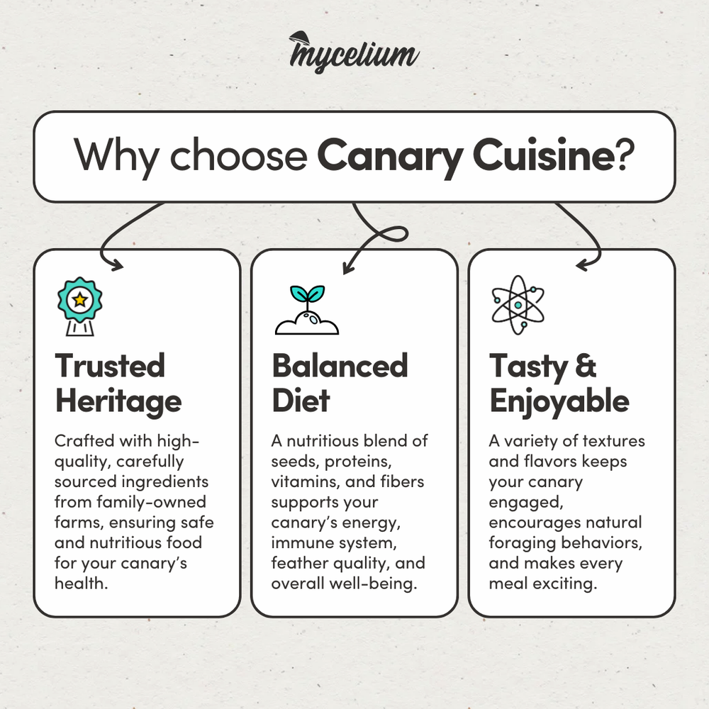 
                      
                        Canary Cuisine
                      
                    