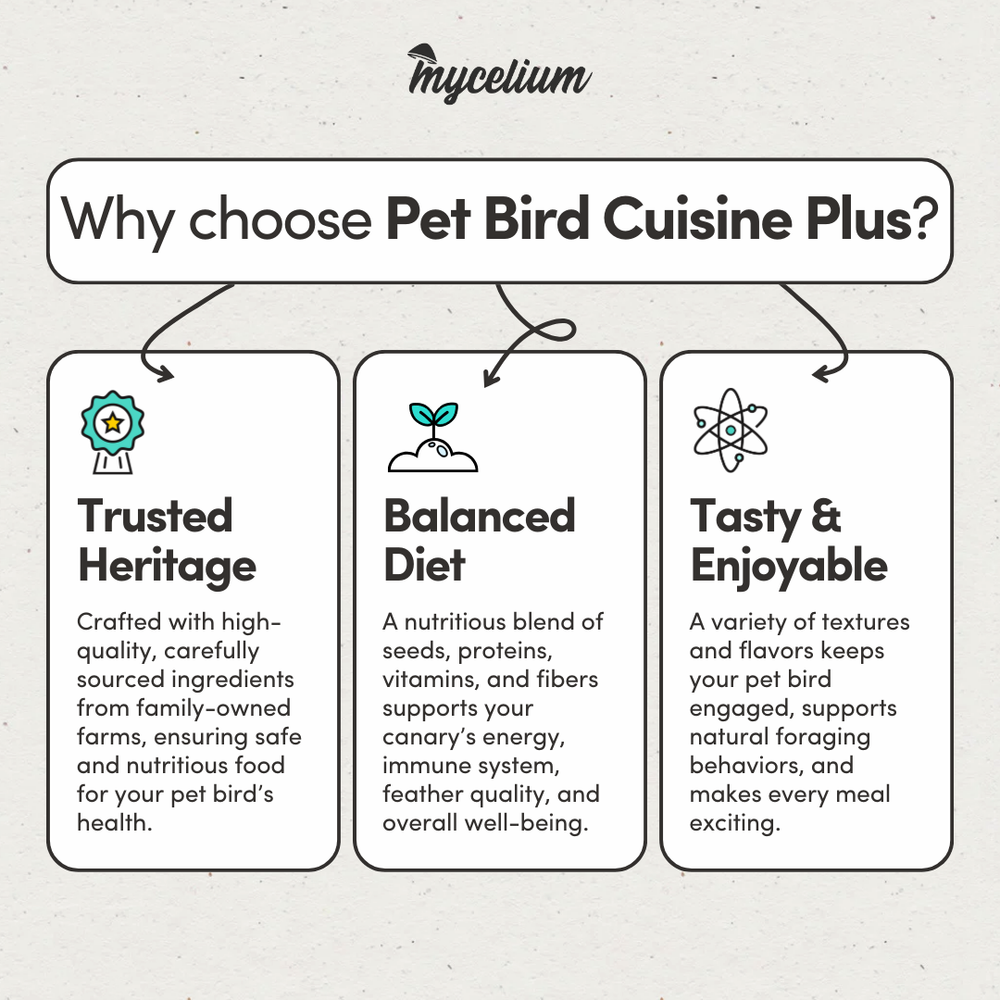 
                      
                        Pet Bird Cuisine Plus
                      
                    