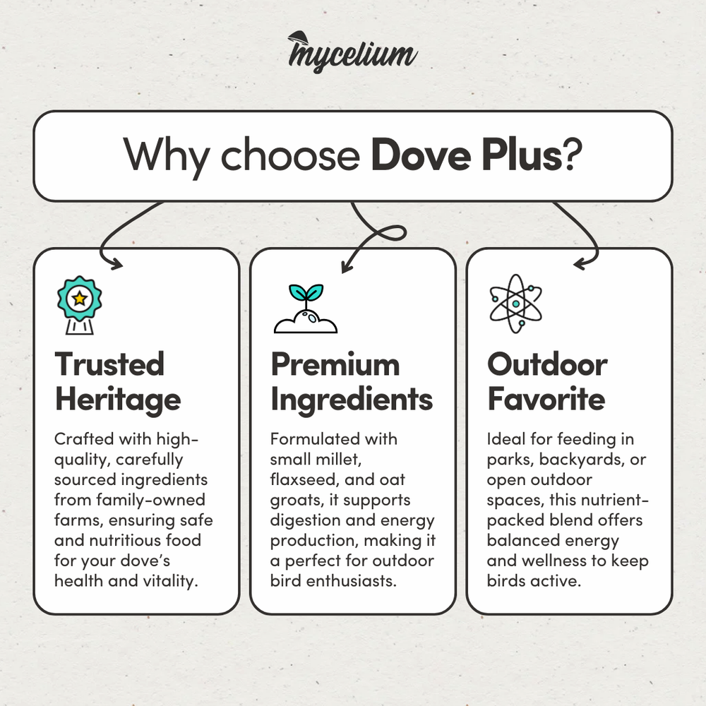 
                      
                        Dove Premier
                      
                    