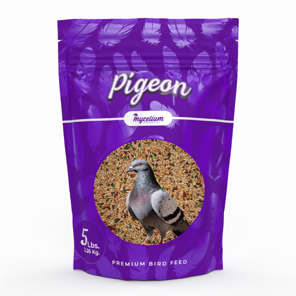 
                      
                        Pigeon Protein
                      
                    