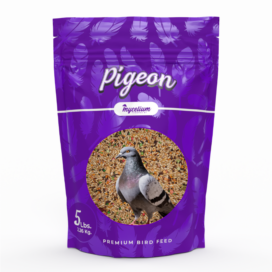 Pigeon Protein