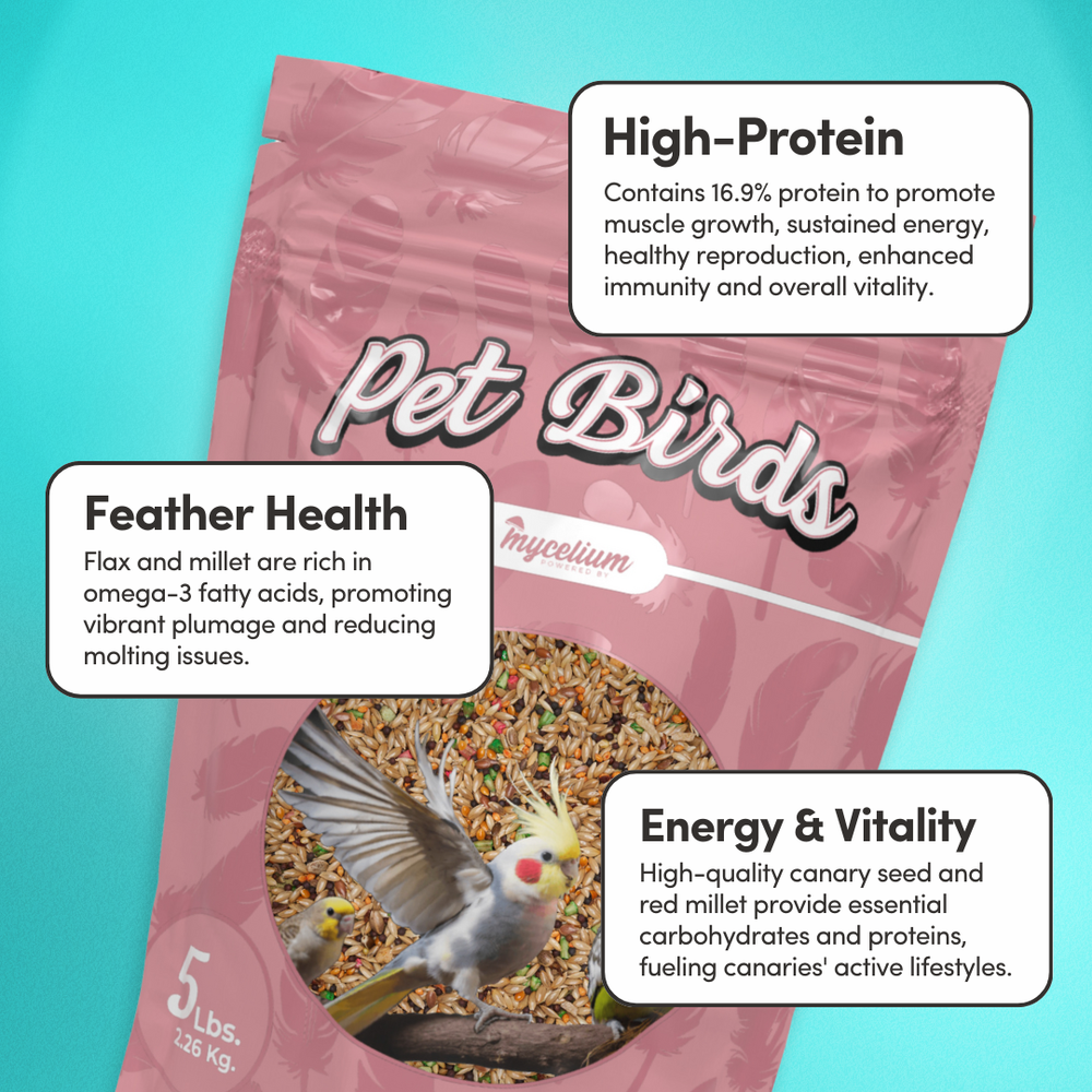 
                      
                        Pet Bird Premier Feed
                      
                    