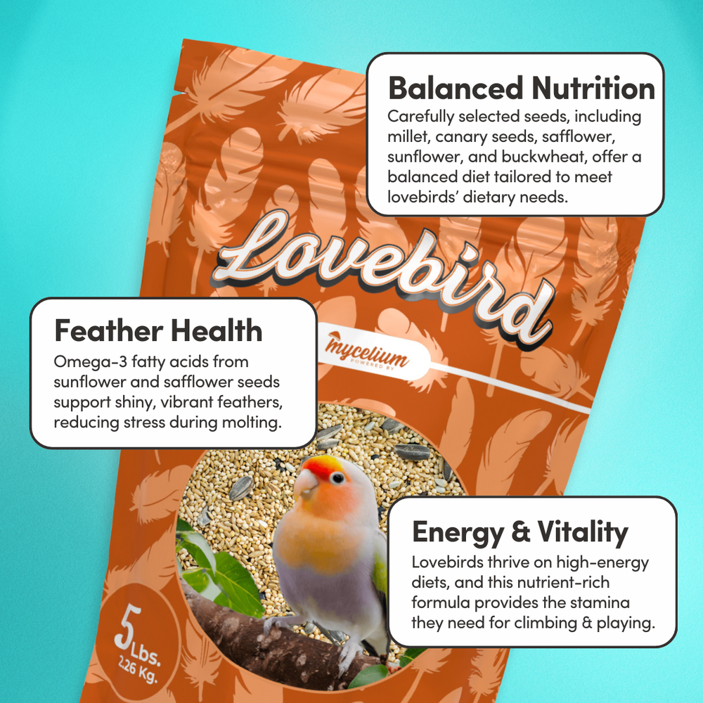 
                      
                        Lovebird Feed
                      
                    