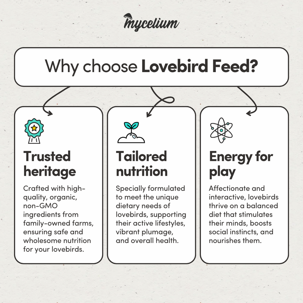 
                      
                        Lovebird Feed
                      
                    