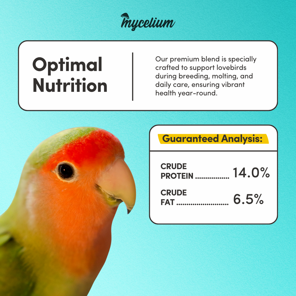 
                      
                        Lovebird Feed
                      
                    