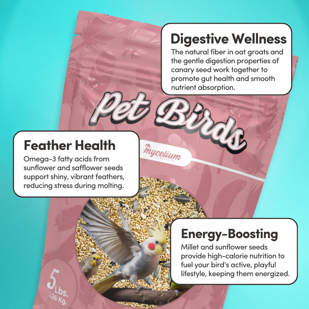 
                      
                        Pet Bird Feed
                      
                    