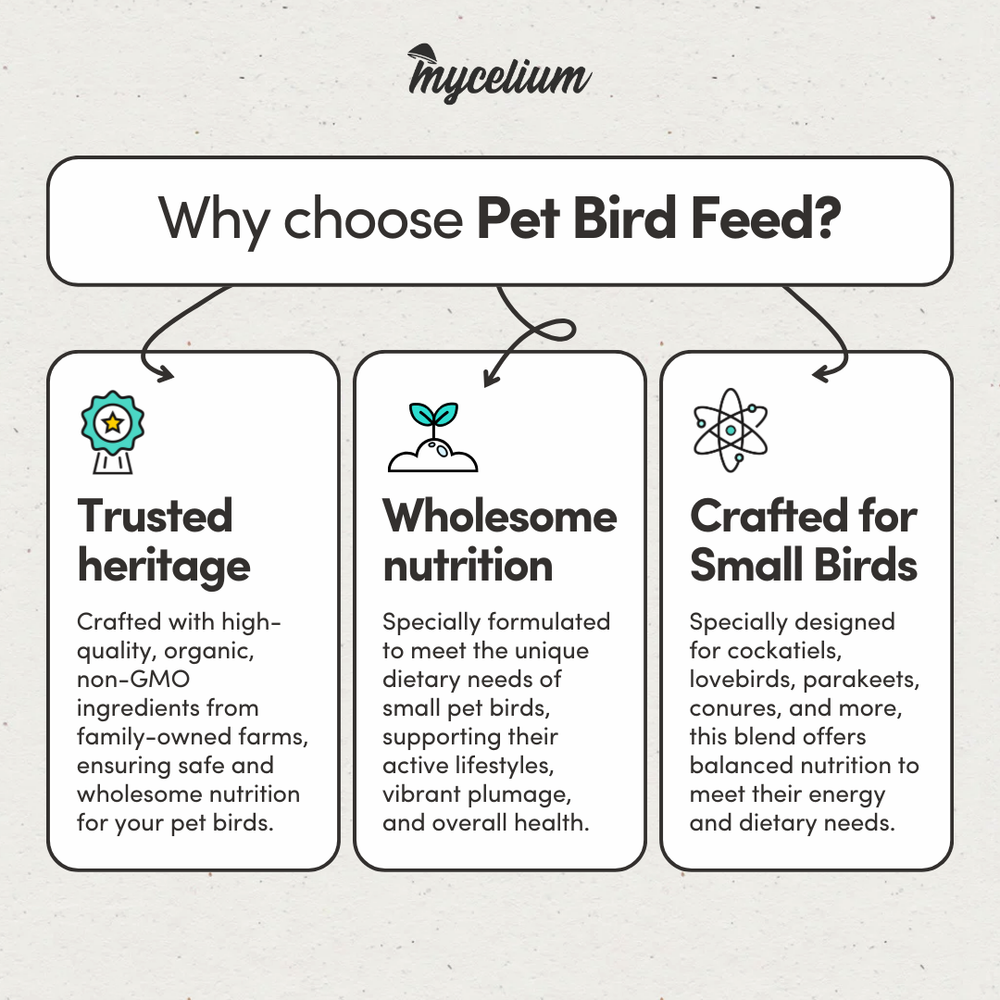 
                      
                        Pet Bird Feed
                      
                    