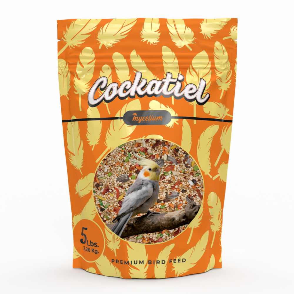 Cockatiel