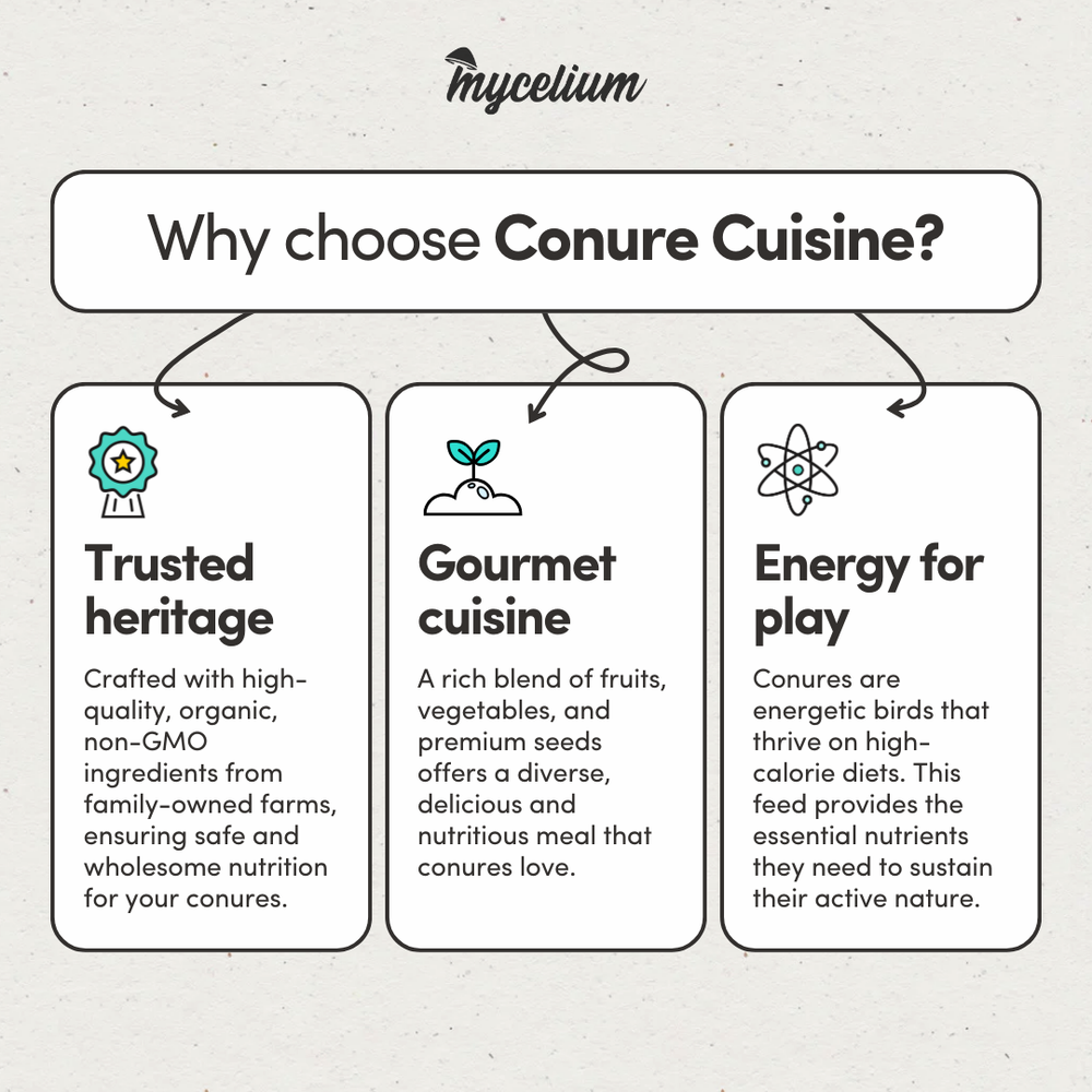 
                      
                        Conure Cuisine
                      
                    