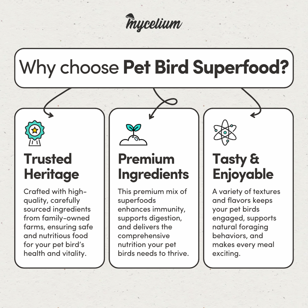 
                      
                        Pet Bird Superfood
                      
                    