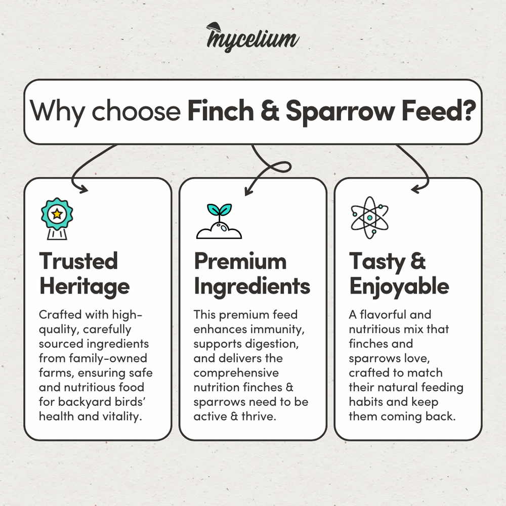 
                      
                        Finch & Sparrow Feed 
                      
                    