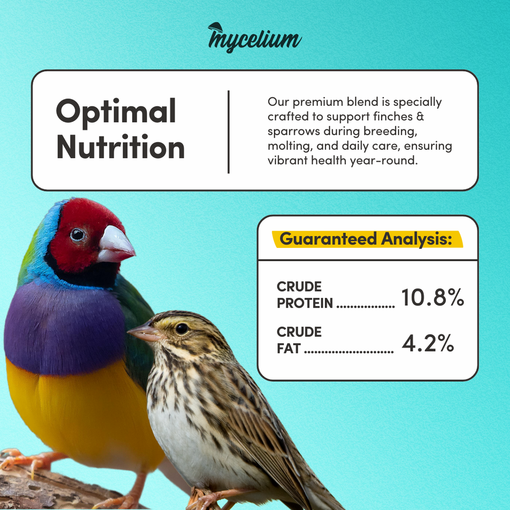 
                      
                        Finch & Sparrow Feed 
                      
                    