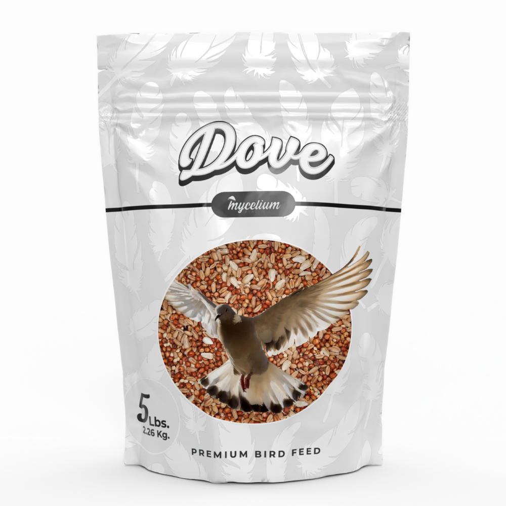 
                      
                        Dove Feed
                      
                    