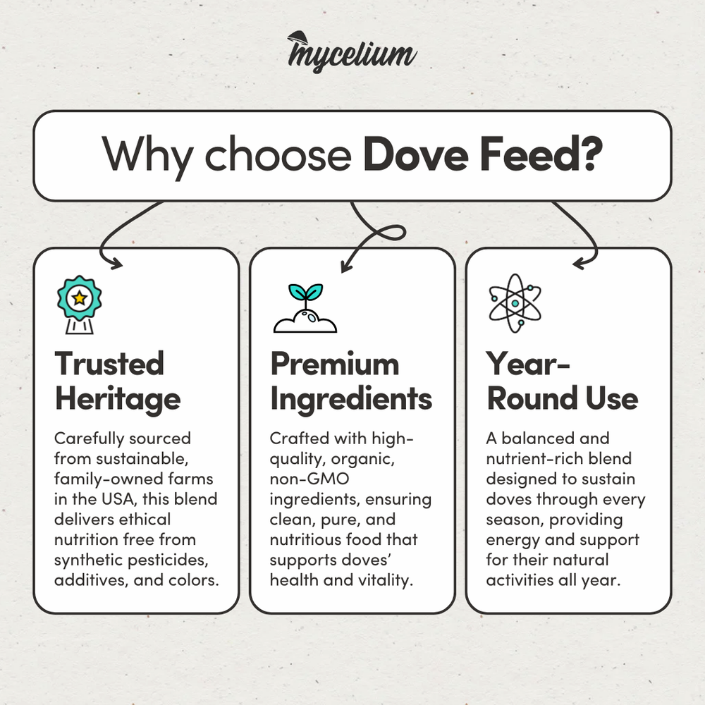 
                      
                        Dove Feed
                      
                    