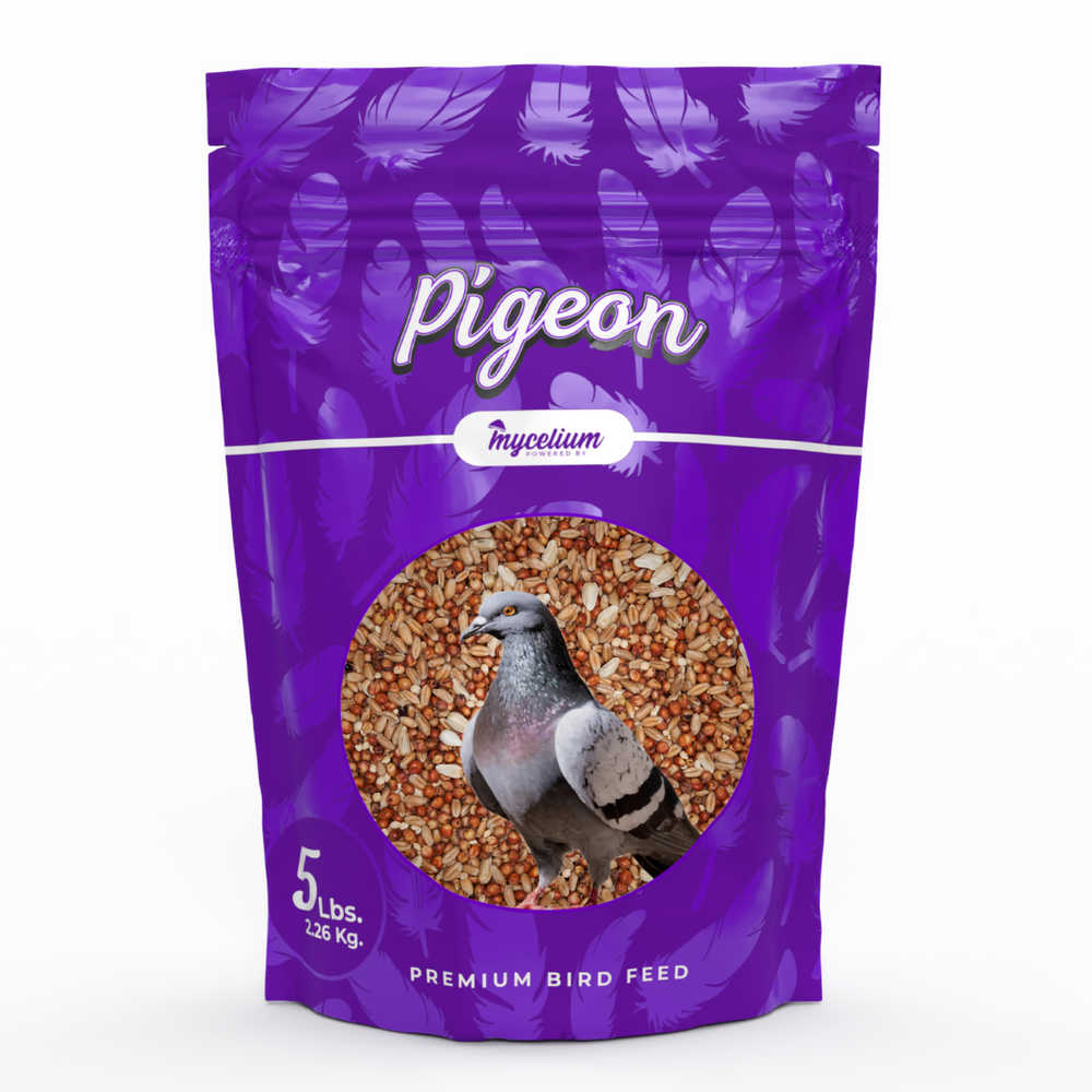 
                      
                        Pigeon Feed
                      
                    