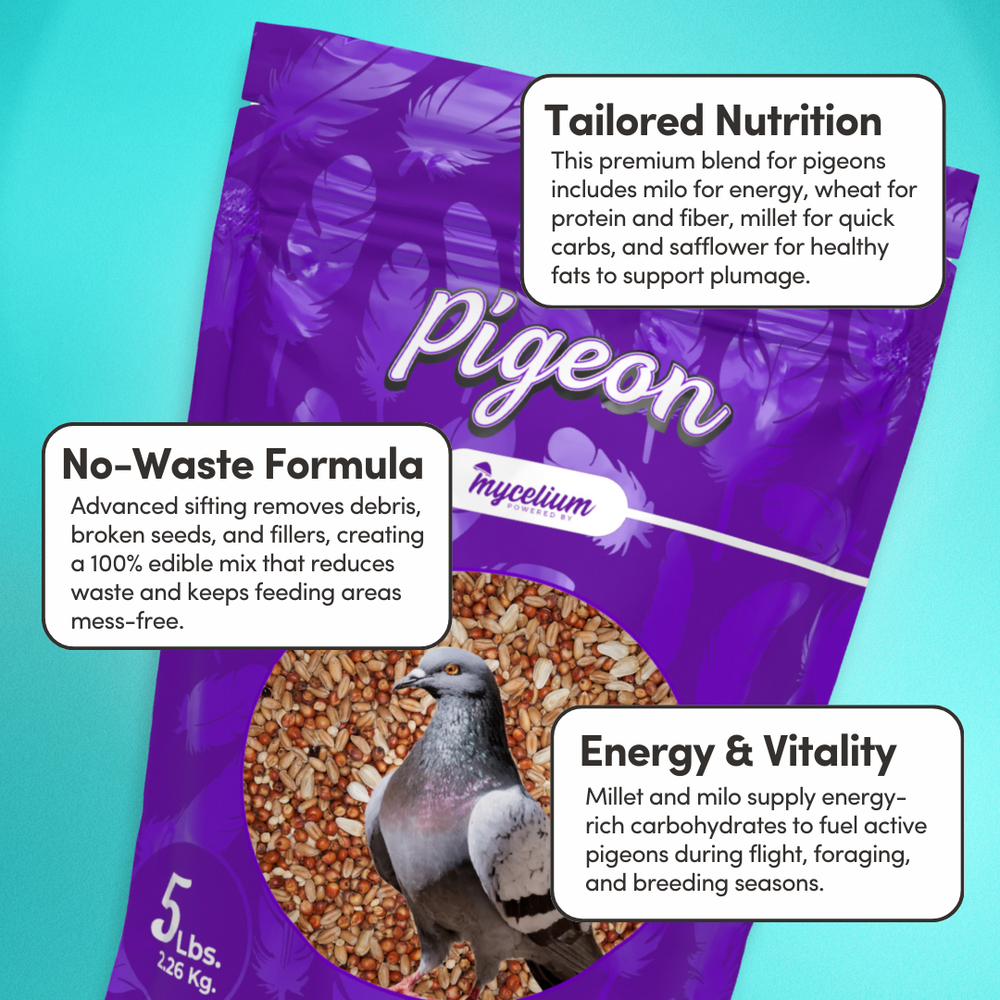 
                      
                        Pigeon Feed
                      
                    