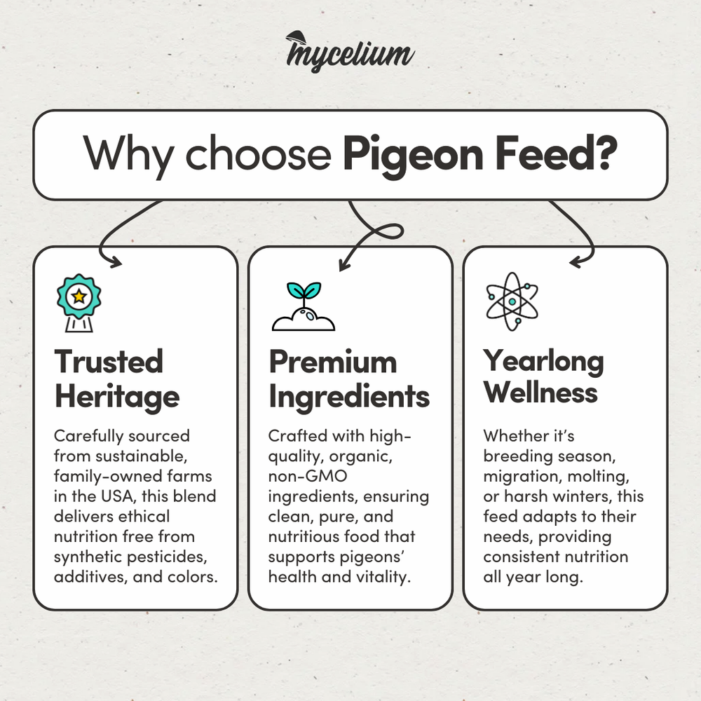 
                      
                        Pigeon Feed
                      
                    