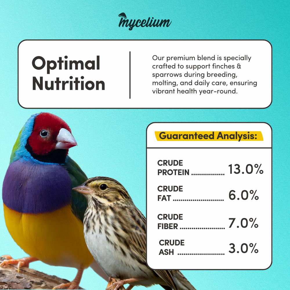 
                      
                        Finch & Sparrow Superfood
                      
                    