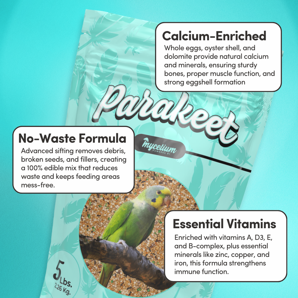 
                      
                        Parakeet Superfood
                      
                    