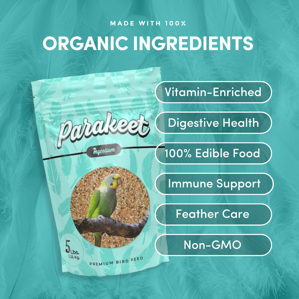 
                      
                        Parakeet Superfood
                      
                    