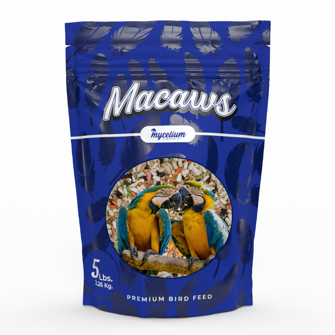 Macaw Food