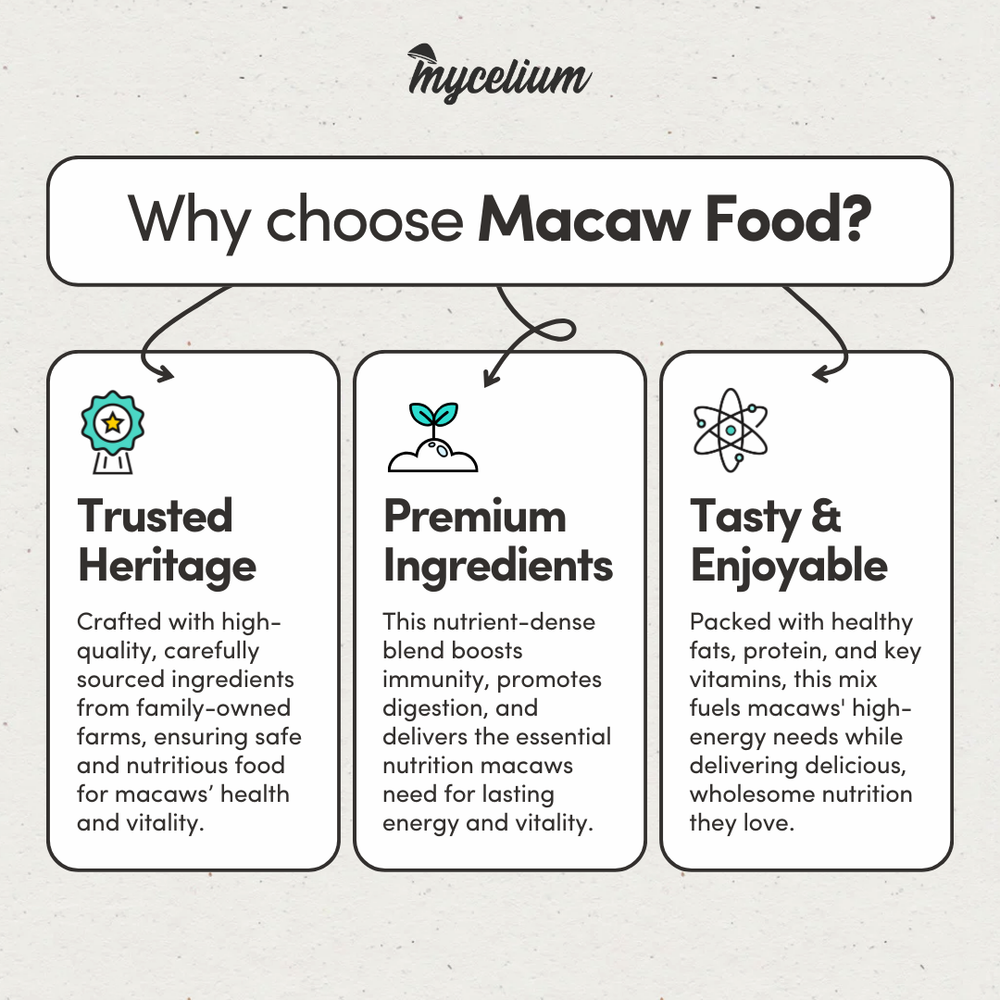 
                      
                        Macaw Food
                      
                    