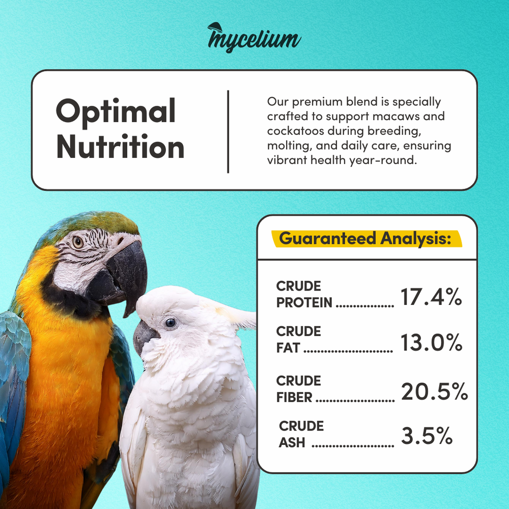 
                      
                        Macaw & Cockatoo Food
                      
                    