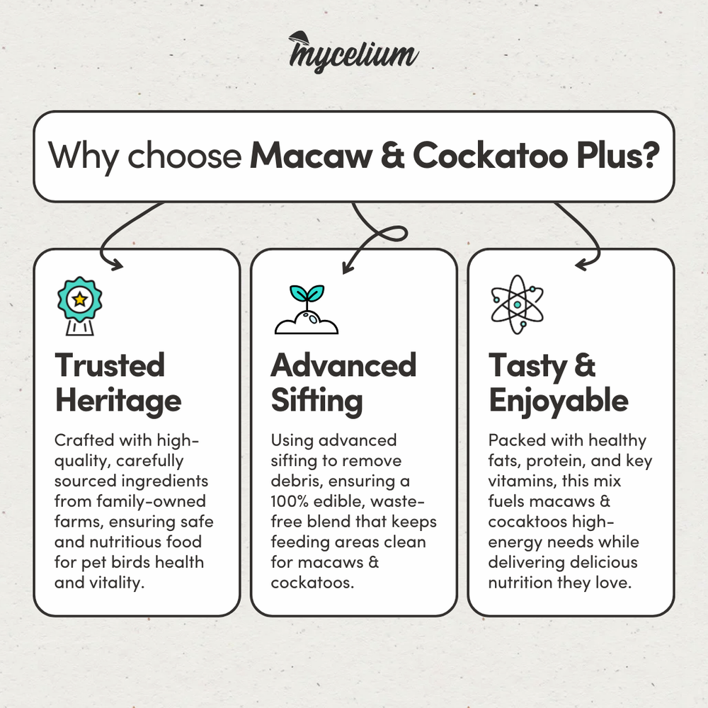 
                      
                        Macaw & Cockatoo Plus
                      
                    