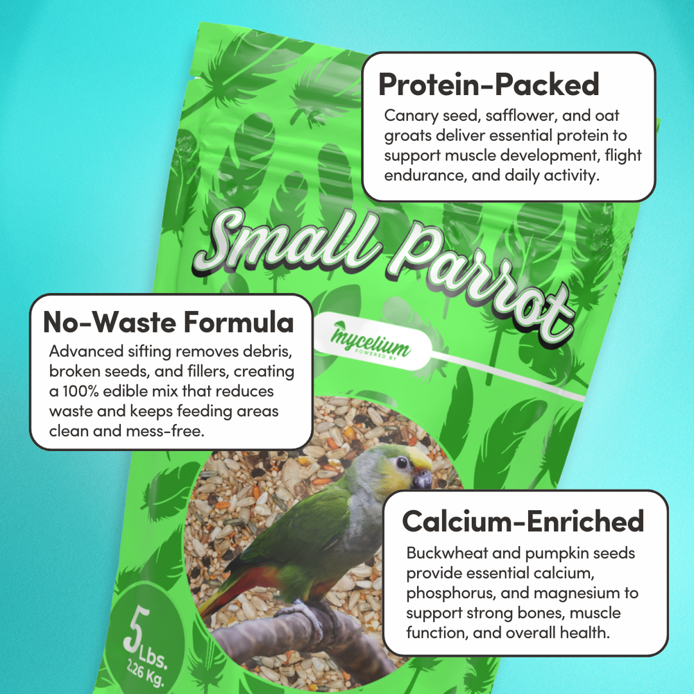 
                      
                        Small Parrot Feed
                      
                    