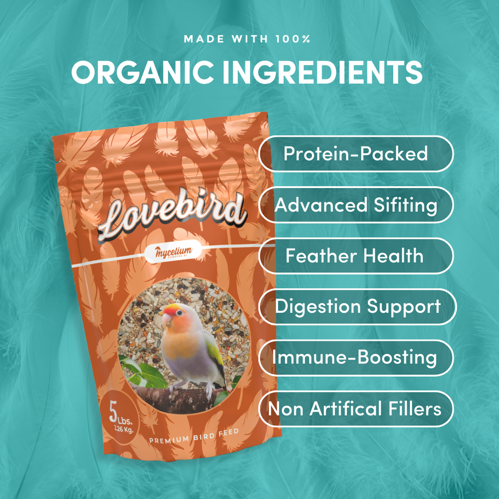 
                      
                        Lovebird Superfood
                      
                    