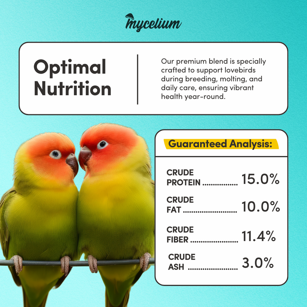 
                      
                        Lovebird Superfood
                      
                    