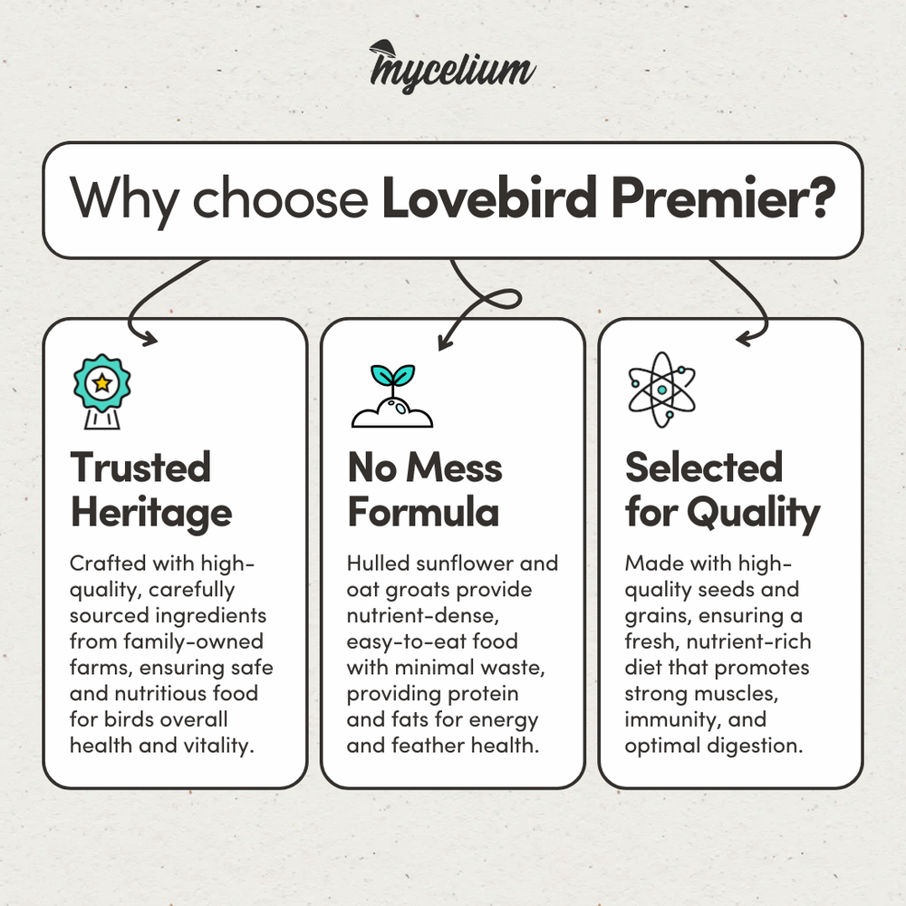 
                      
                        Lovebird Premier
                      
                    