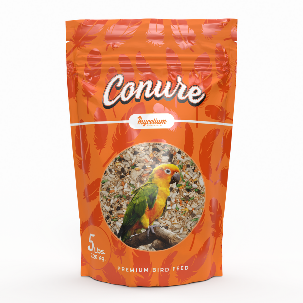 Conure Feed