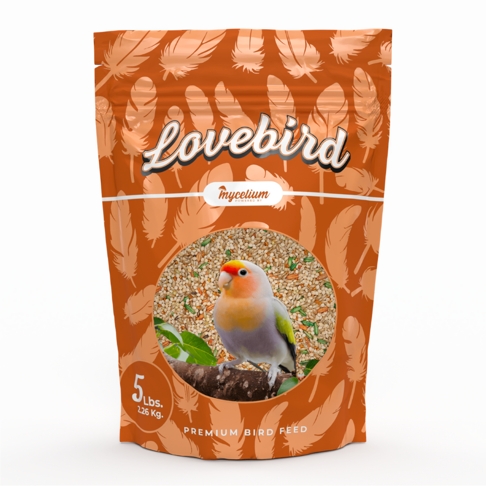 
                      
                        Lovebird Plus
                      
                    