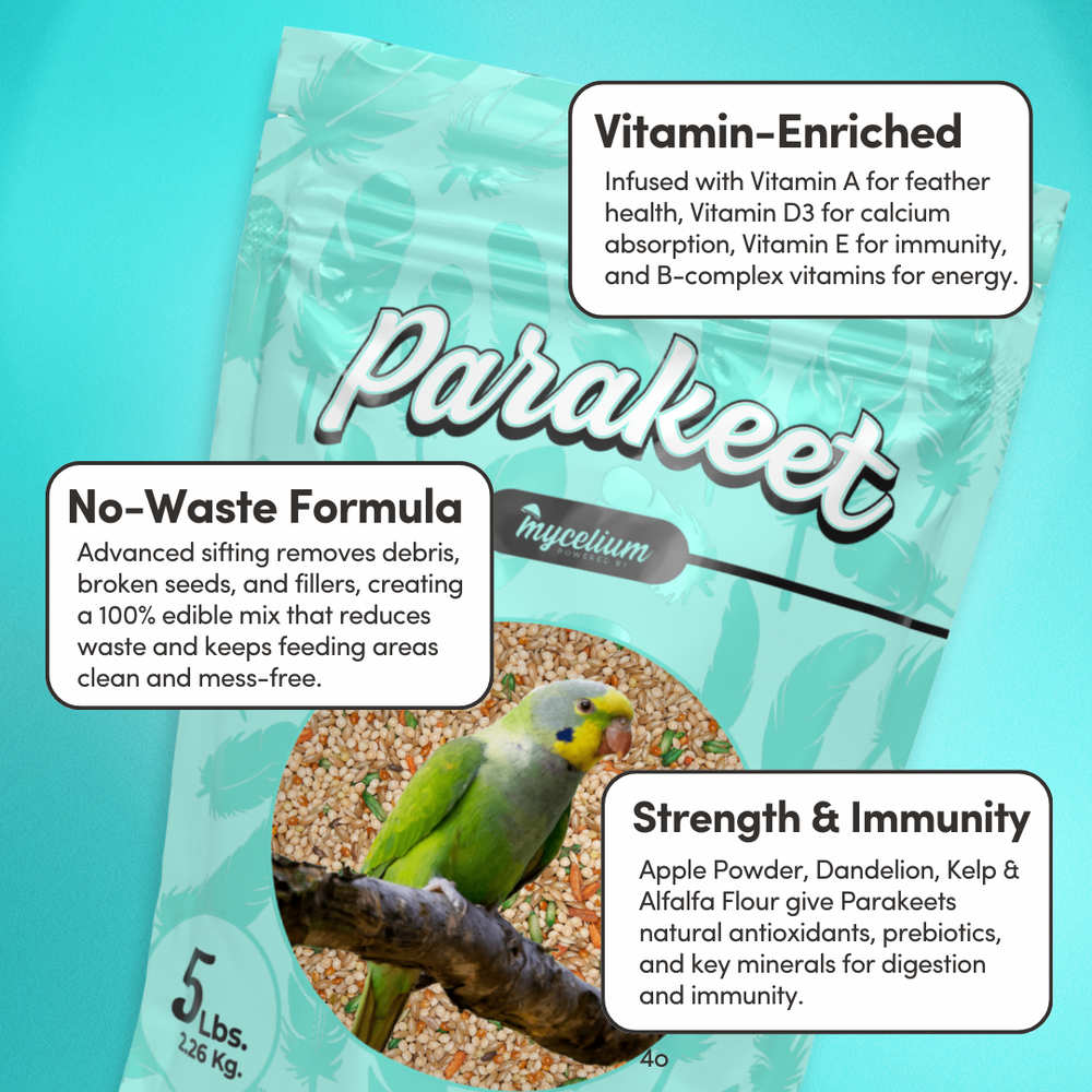 
                      
                        Parakeet Plus
                      
                    