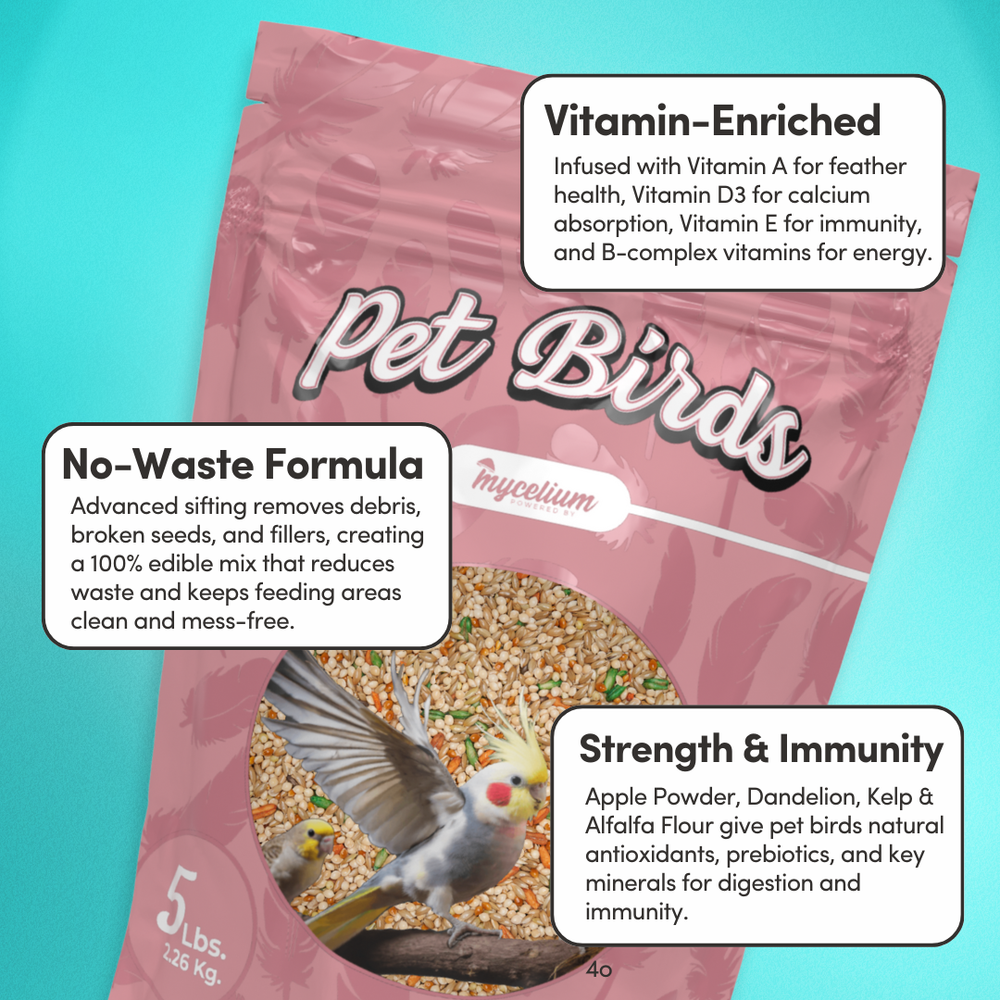 
                      
                        Pet Bird Superfood
                      
                    