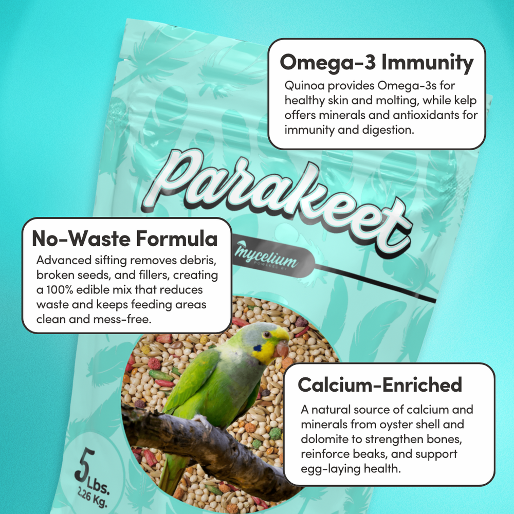 
                      
                        Parakeet Cuisine
                      
                    