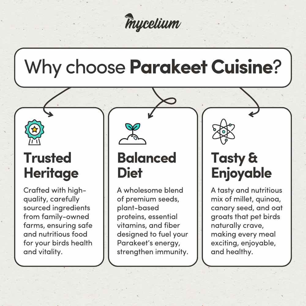 
                      
                        Parakeet Cuisine
                      
                    