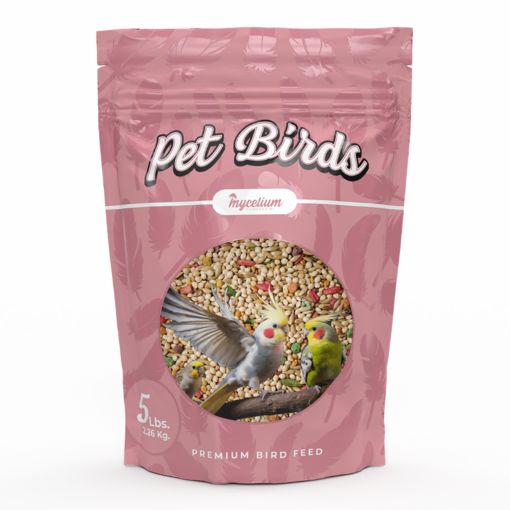 
                      
                        Pet Bird Cuisine
                      
                    